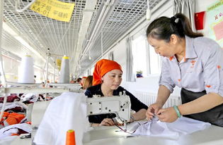 免费服装技能与计算机技术培训 拓宽就业双通道